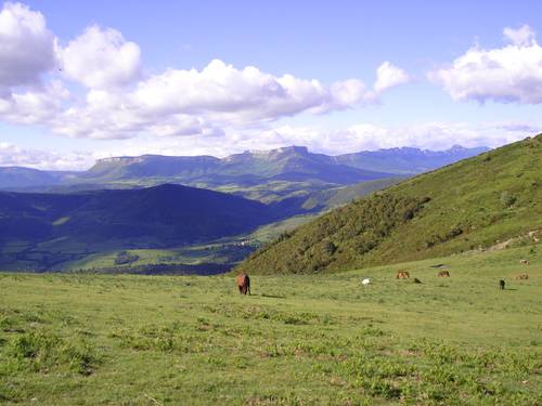 Alto de la Celadilla