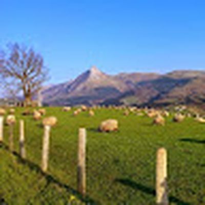 Juan Mari begiristain erabiltzailea