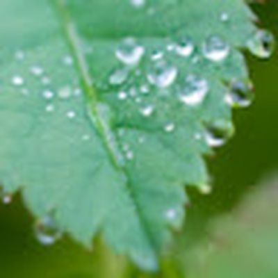 Lierni Azkue erabiltzailea