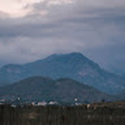 Maider Arce erabiltzailea