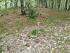 Karmen Orbegozo erabiltzailea Arraialde puntan, 2025-06-01 15:05