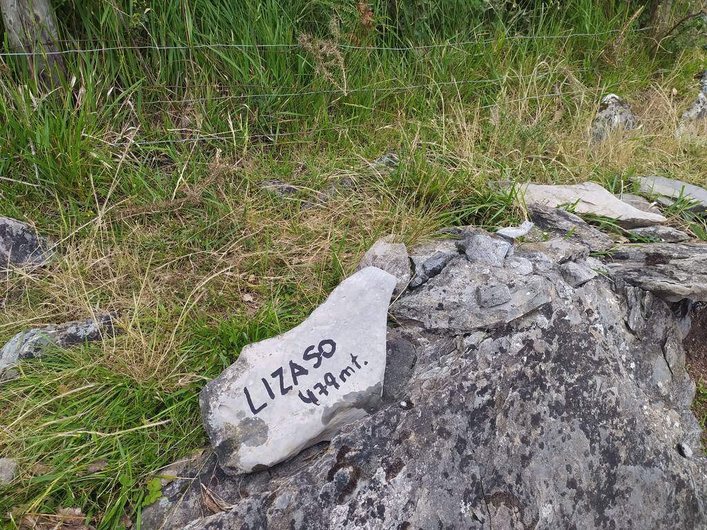Lizaso
