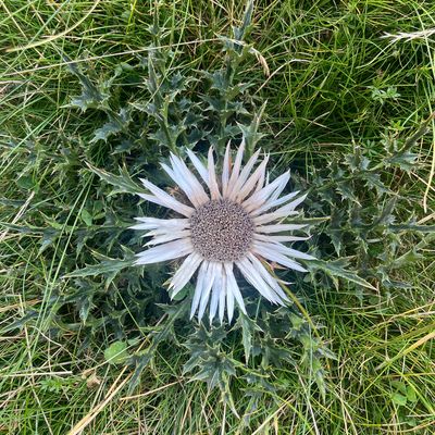 Kar_mele erabiltzailea