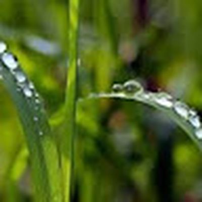 Regina Alcain Llorca erabiltzailea